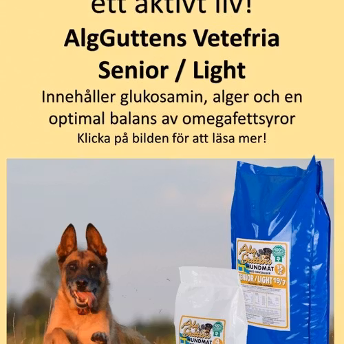 SENIOR/LIGHT 19/7 vetefritt med glukosamin, för äldre eller överviktiga hundar