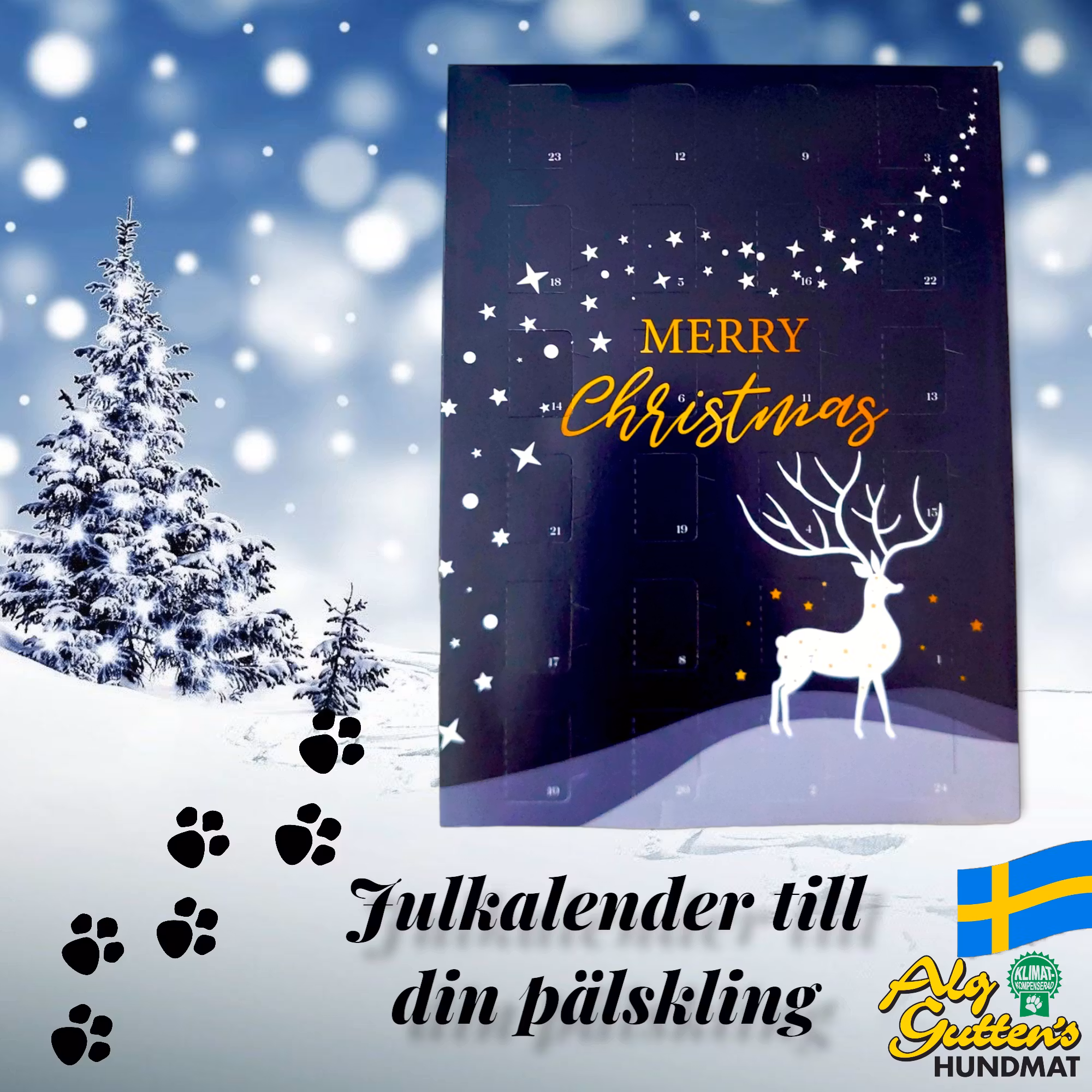 Julkalender till din hund