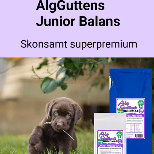 JUNIOR BALANS , Superpremium för valp/unghund och digivande tik.
