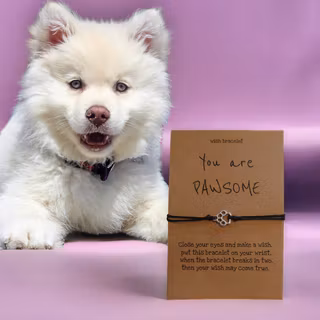 Armband - you are PAWSOME