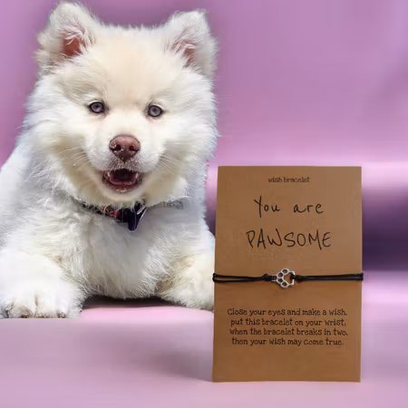 Armband - you are PAWSOME