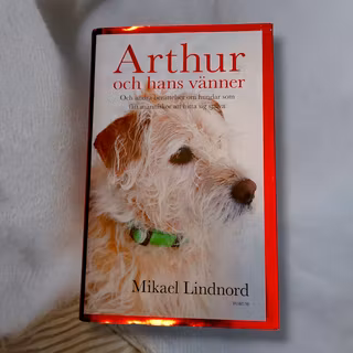 Arthur och hans vänner- Inbunden