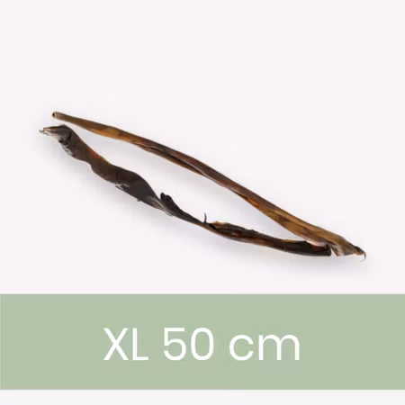 Hjorthud XL tugg ca 2 pack ca 55cm
