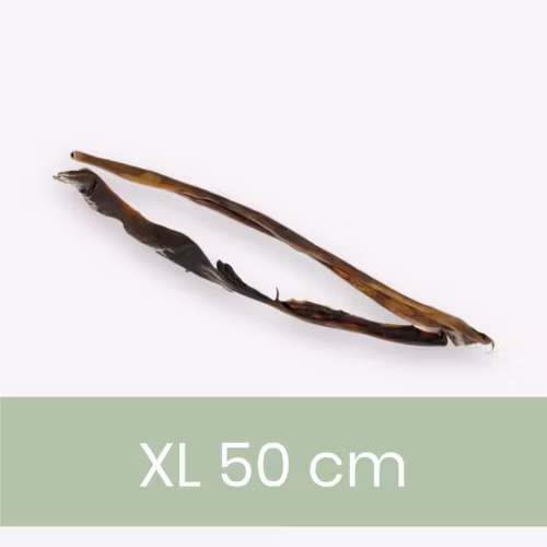 Hjorthud XL tugg ca 2 pack ca 55cm