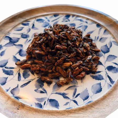 Musslor - Torkade blåmusslor 70 gram
