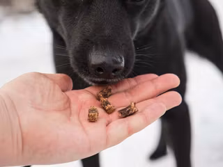 Deer treats - small reward pieces