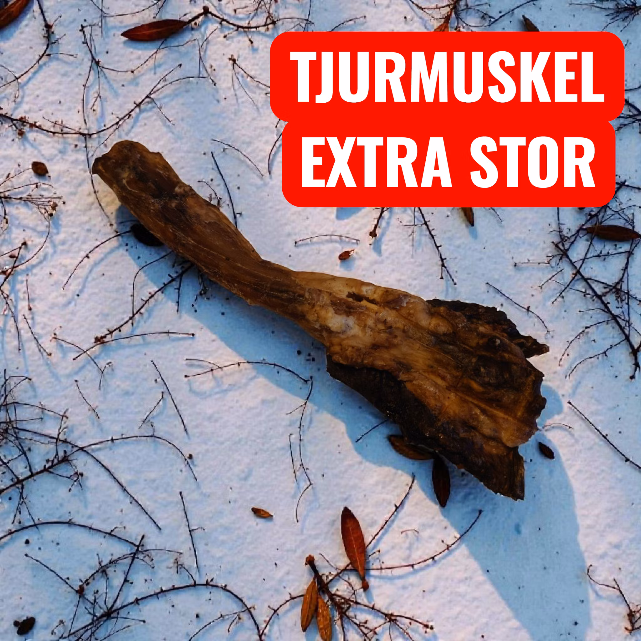 Tjurmuskelklubba extra stor