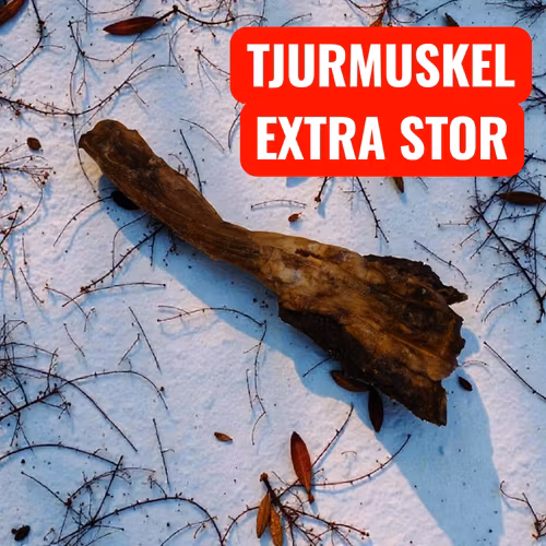 Tjurmuskelklubba extra stor