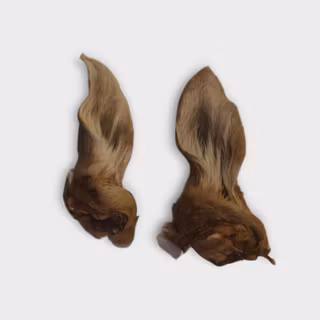 Hjortöra 15 cm 1-pack