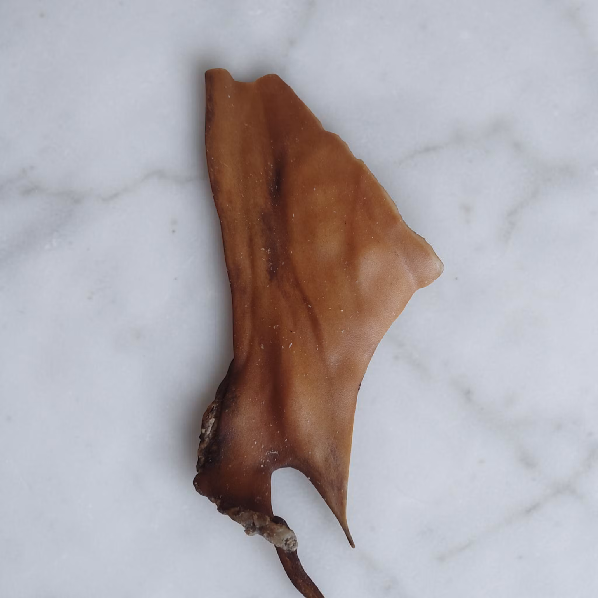 Hjorthudstugg- välj din bit!