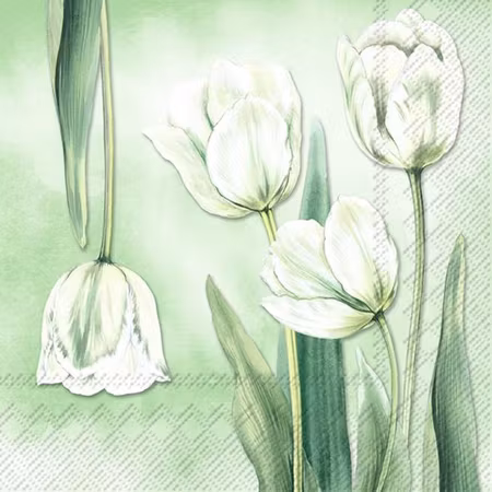 Tulipana Green Lunch