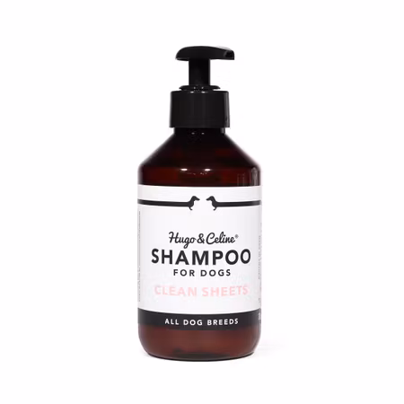CLEAN SHEETS SHAMPOO