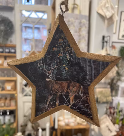 Juldekoration Stjärna