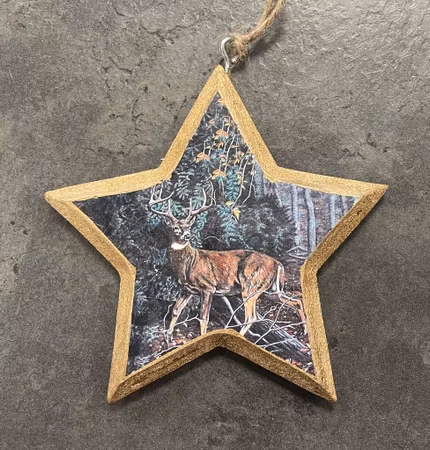 Juldekoration Stjärna