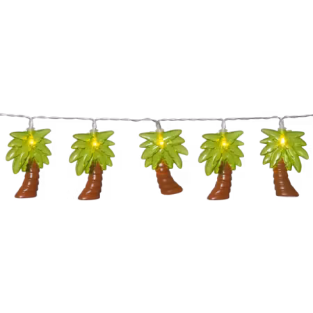 Ljusslinga Palm