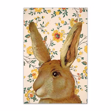 Vykort Hare