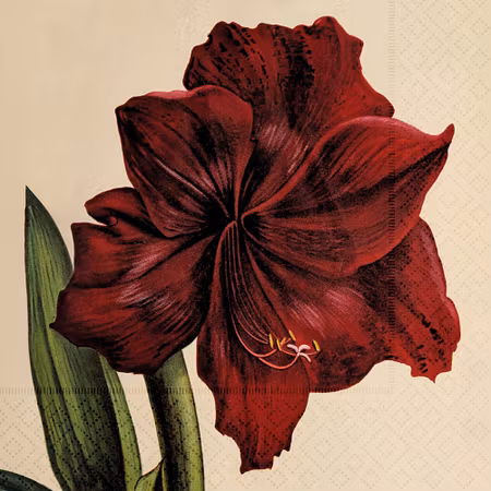 NYHET! Servetter Amaryllis