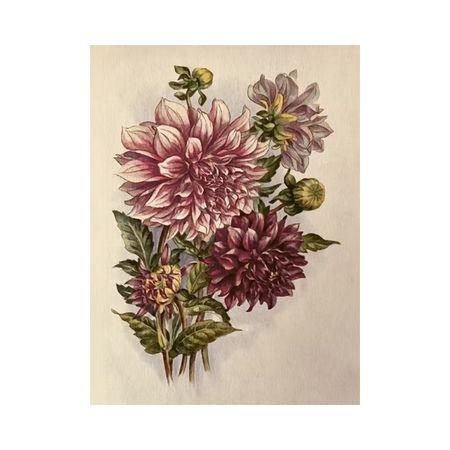 NYHET! Poster Dahlia