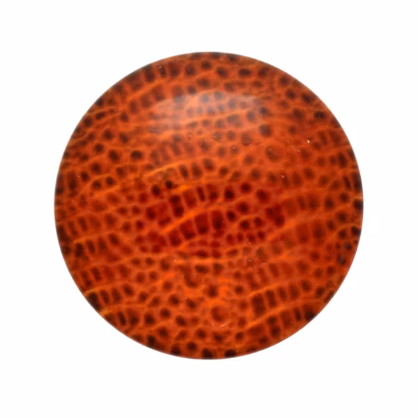 Skinn 1 Cabochon 30mm 1st