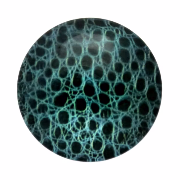 Skinn 10 Cabochon 30mm 1st