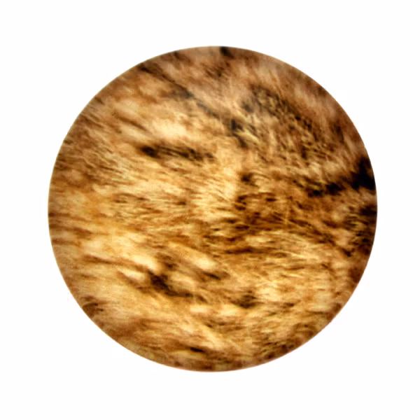 Skinn 13 Cabochon 30mm 1st