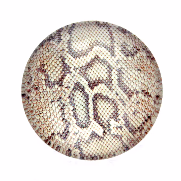 Skinn 14 Cabochon 30mm 1st