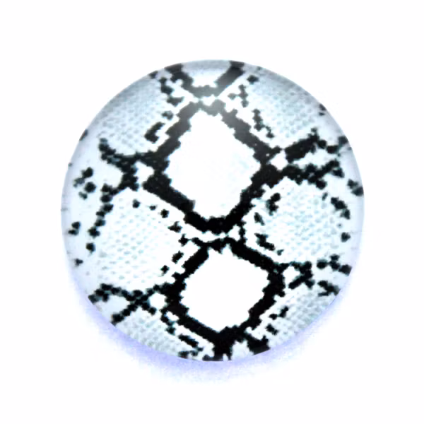 Djurmönster 6 Cabochon 25mm 1st