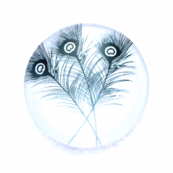 Fjädrar 2 Cabochon 25mm 1st