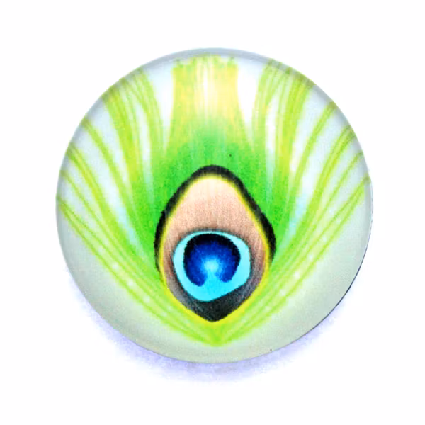 Fjädrar 19 Cabochon 25mm 1st