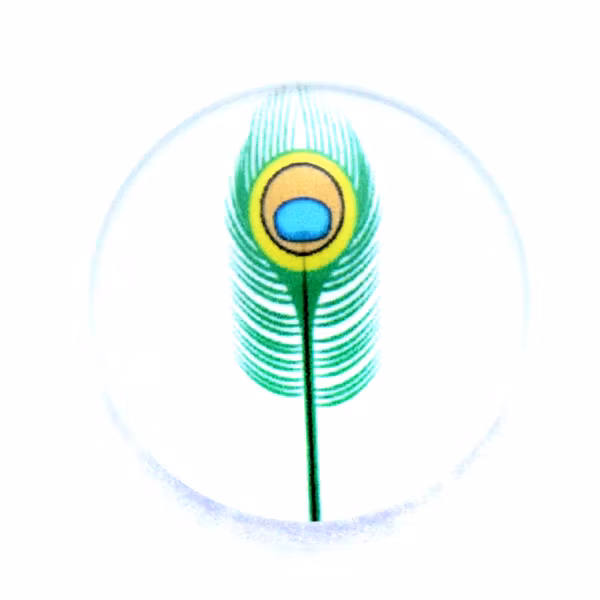 Fjädrar 25 Cabochon 25mm 1st