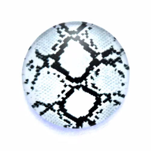 Djurmönster 6 Cabochon 12mm 1st