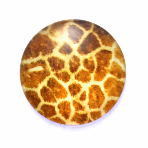 Djurmönster 14 Cabochon 12mm 1st