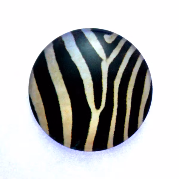 Djurmönster 25 Cabochon 12mm 1st