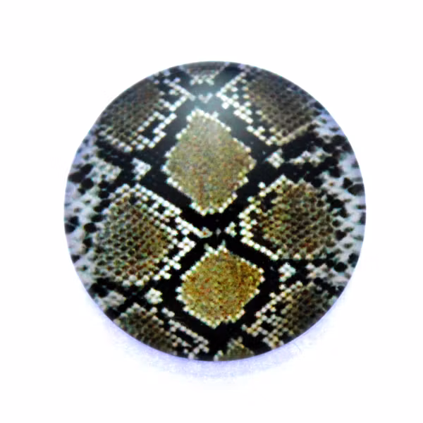 Djurmönster 27 Cabochon 12mm 1st