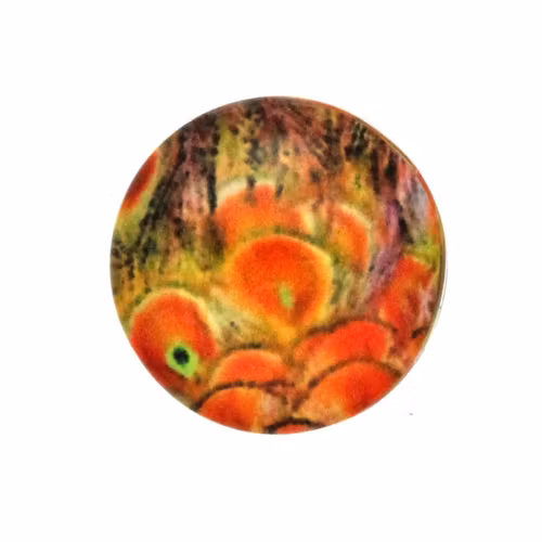 Påfågel 11 Cabochon 12mm 1st