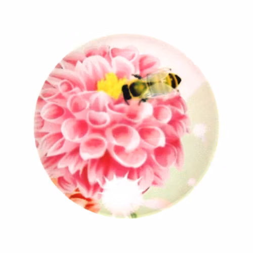 Blommor 2 Cabochon 12mm 1st