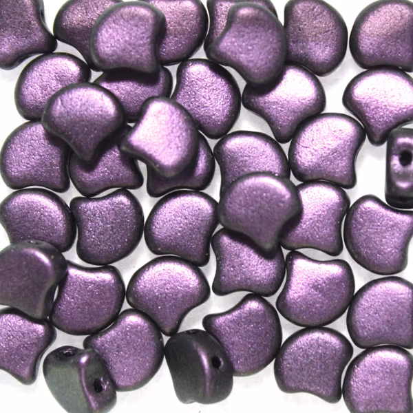 Polychrome Black Currant Ginko 10g
