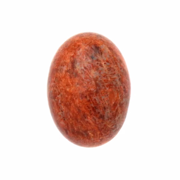 Koralljade Röd Rundad Baksida Oval Cabochon 25x18mm 1st