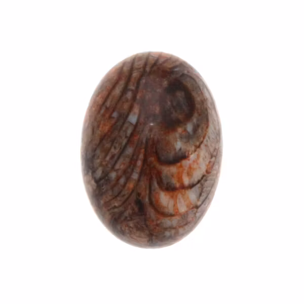 Koralljade Brun Rundad Baksida Oval Cabochon 25x18mm 1st