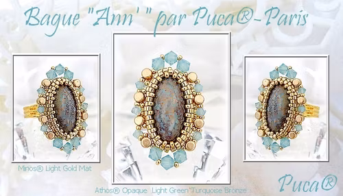 Ann Ring PDF