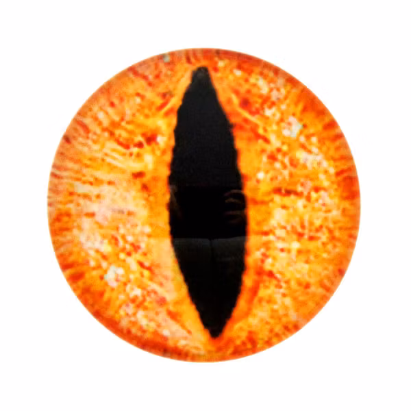 Ögon 7 Cabochon 12mm 1st