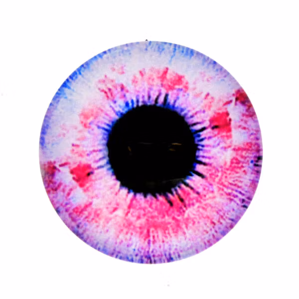 Ögon 18 Cabochon 12mm 1st