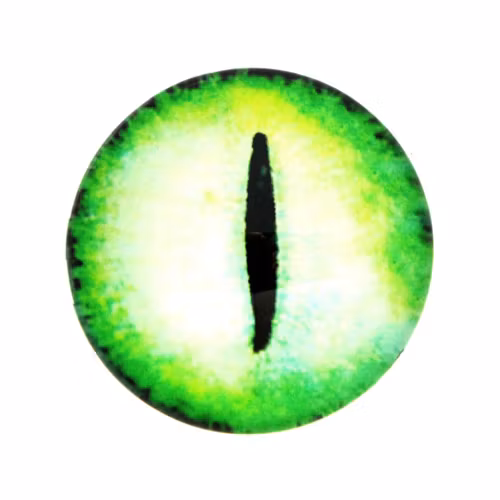 Ögon 36 Cabochon 12mm 1st