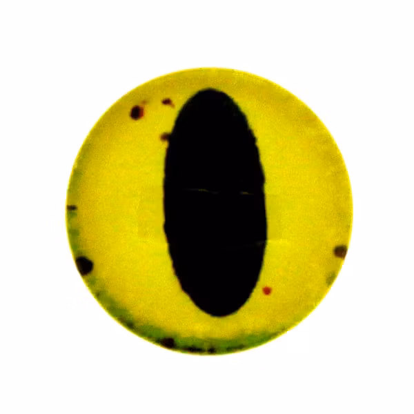 Ögon 42 Cabochon 12mm 1st