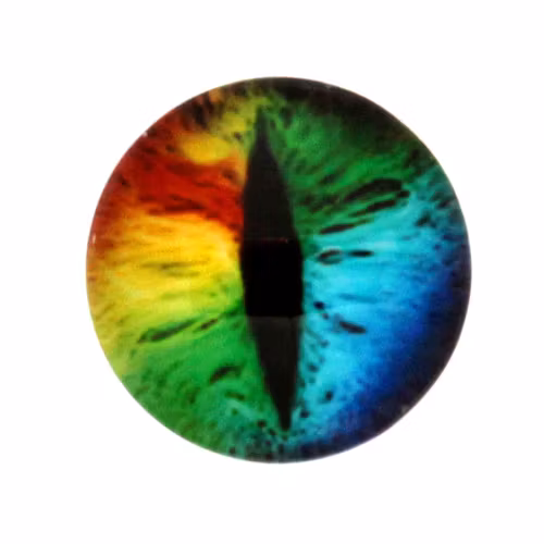 Ögon 43 Cabochon 12mm 1st