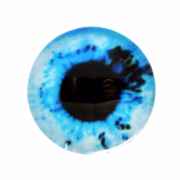 Ögon 45 Cabochon 12mm 1st
