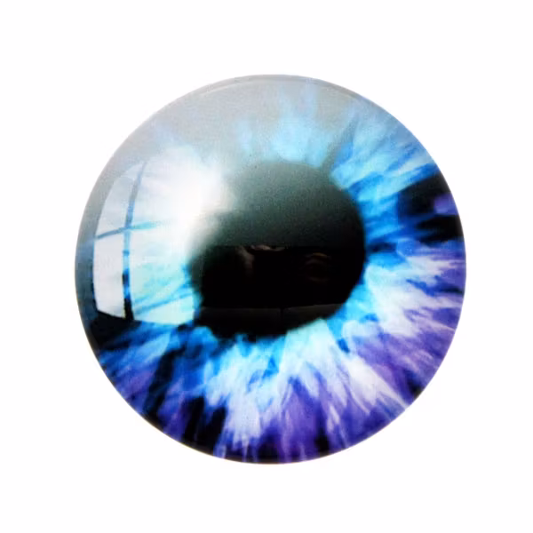 Ögon 2 Cabochon 14mm 1st