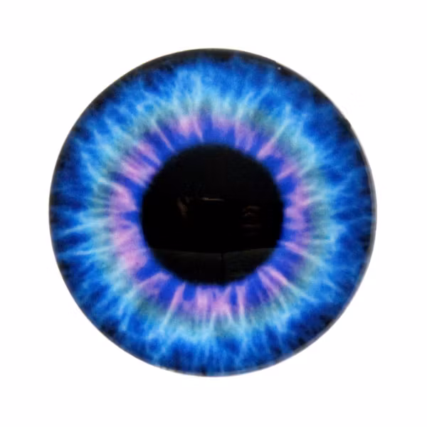 Ögon 5 Cabochon 14mm 1st
