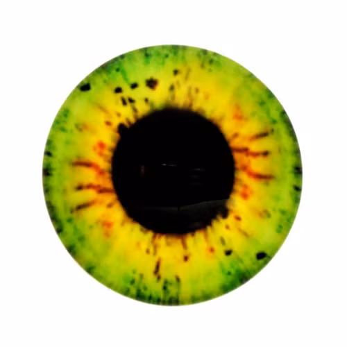 Ögon 10 Cabochon 14mm 1st
