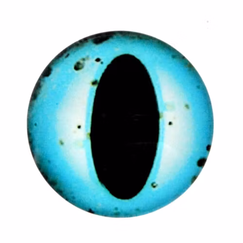 Ögon 26 Cabochon 14mm 1st